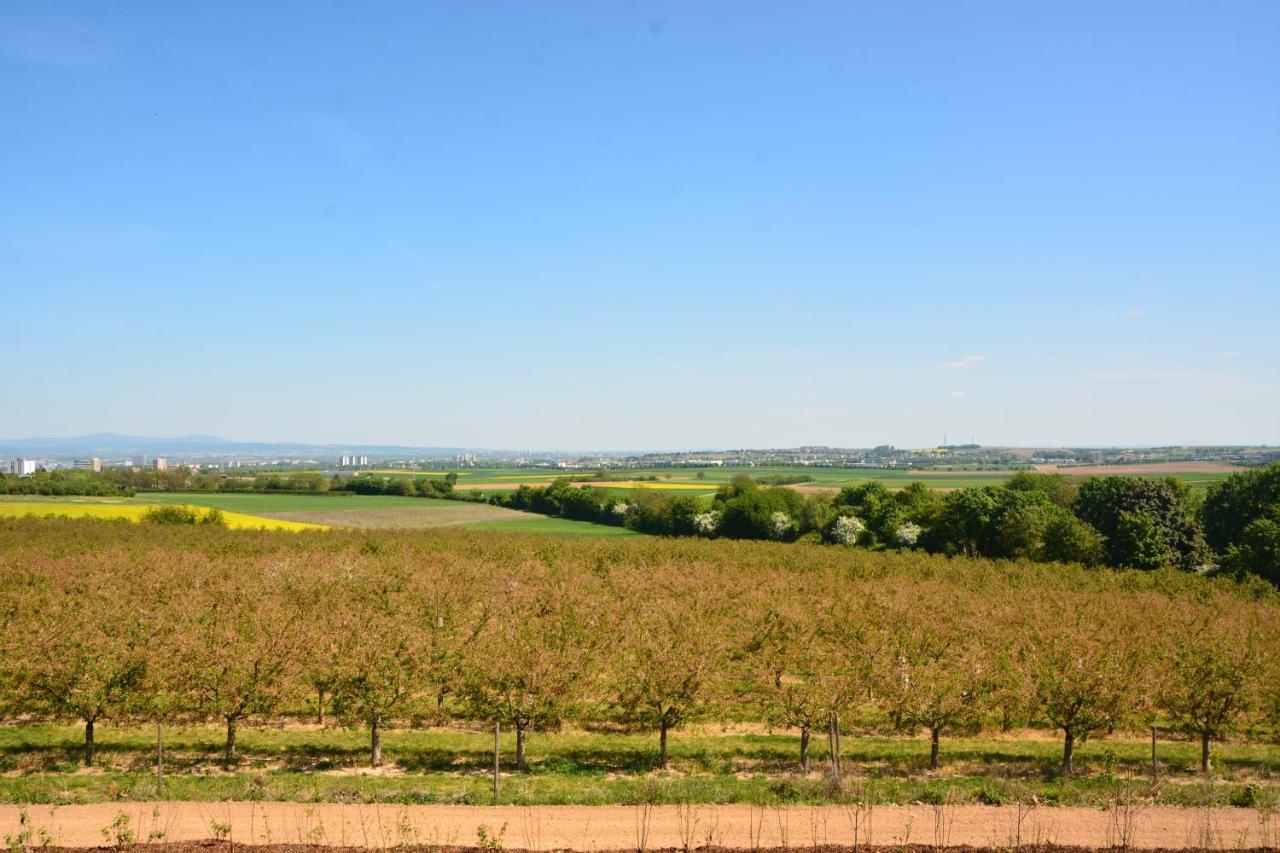 Weingut Bugner Meizelhof Klein-Winternheim Екстер'єр фото