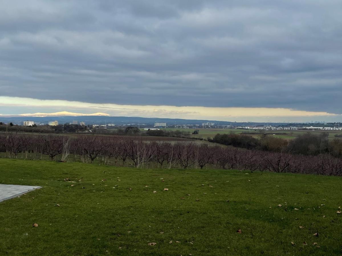 Weingut Bugner Meizelhof Klein-Winternheim Екстер'єр фото